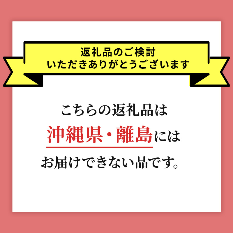 北海道 仁木町産 さくらんぼ 南陽 400g×2P Lサイズ サクランボ 果物 フルーツ チェリー 