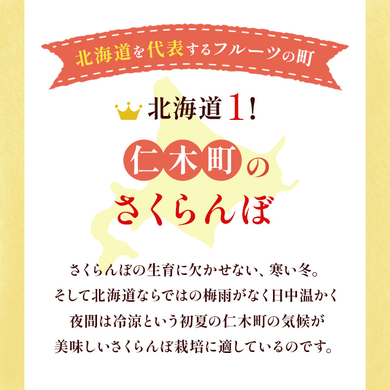 北海道 仁木町産　さくらんぼ 佐藤錦 1kg（500g×2）Lサイズ以上　サクランボ