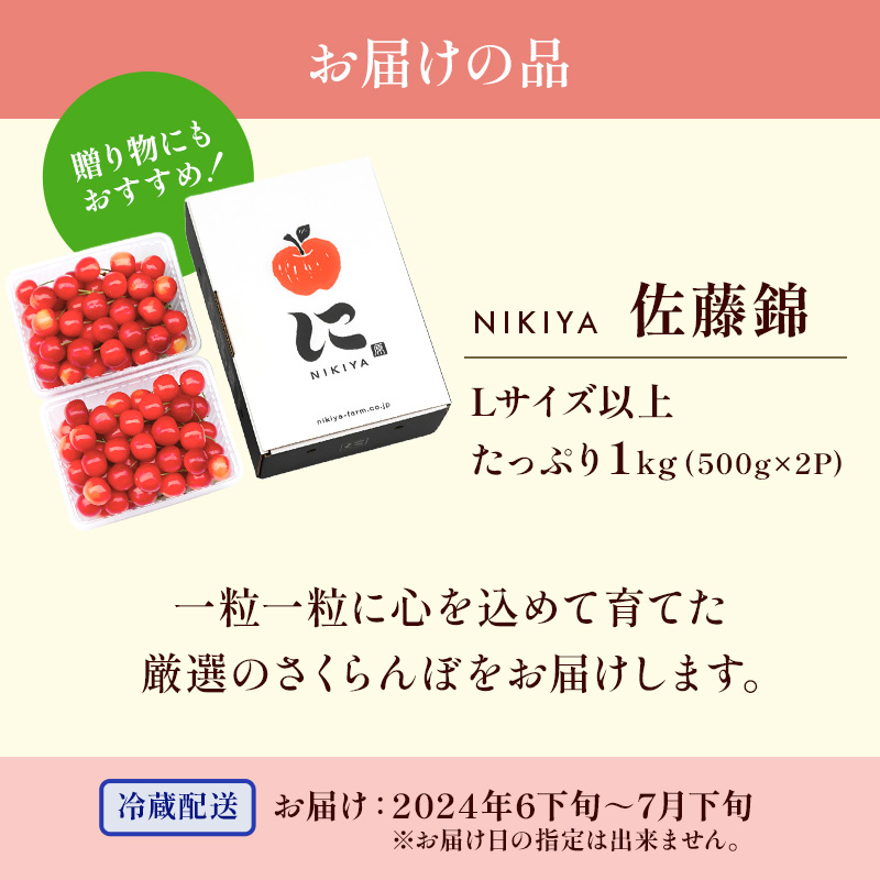 北海道 仁木町産　さくらんぼ 佐藤錦 1kg（500g×2）Lサイズ以上　サクランボ