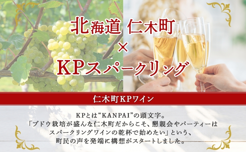北海道産 スパークリング ワイン 750ml 1本 KPワイン Sテロワール ぶどう ナイアガラ 葡萄 ブドウ 白ワイン 辛口 酒 お酒 贈答 贈り物 お祝い ギフト 記念日 送料無料 