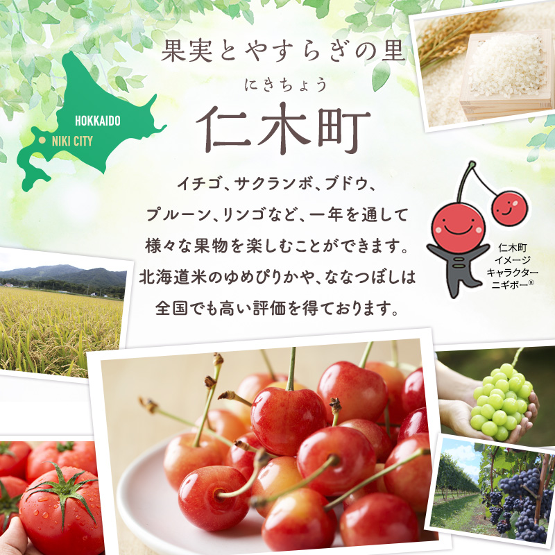 北海道 仁木町産 さくらんぼ 約2kg 2Lサイズ 仁木ファーム 果実