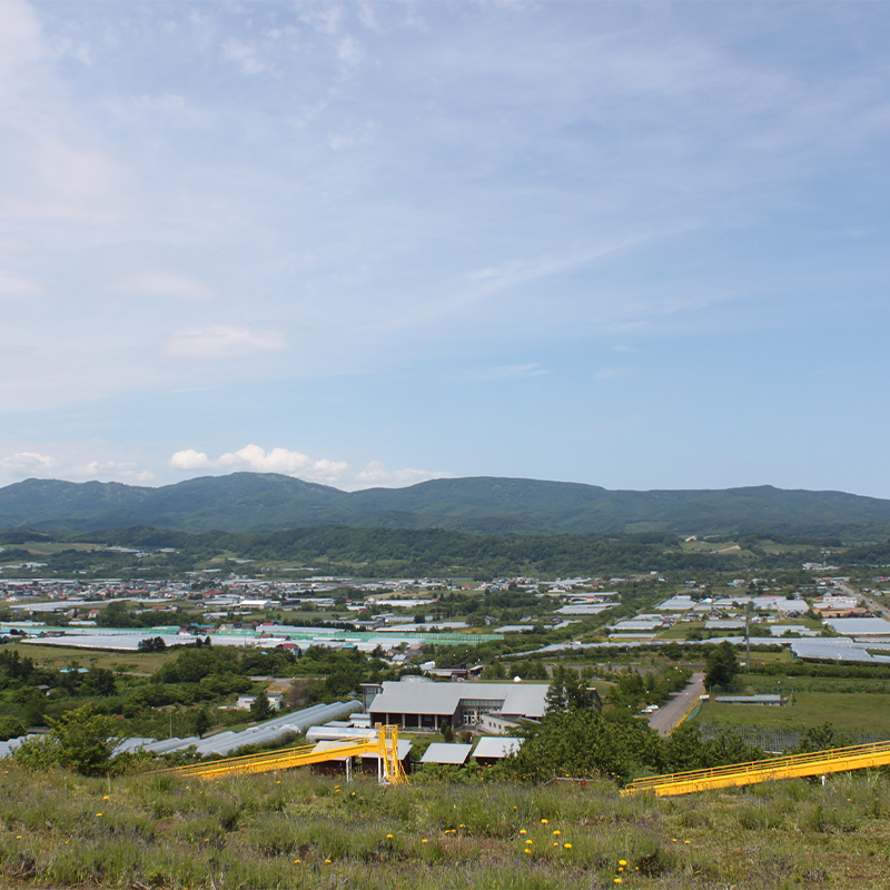 北海道仁木町 寄附のみの応援受付 1,000円コース（返礼品なし 寄附のみ 1000円）