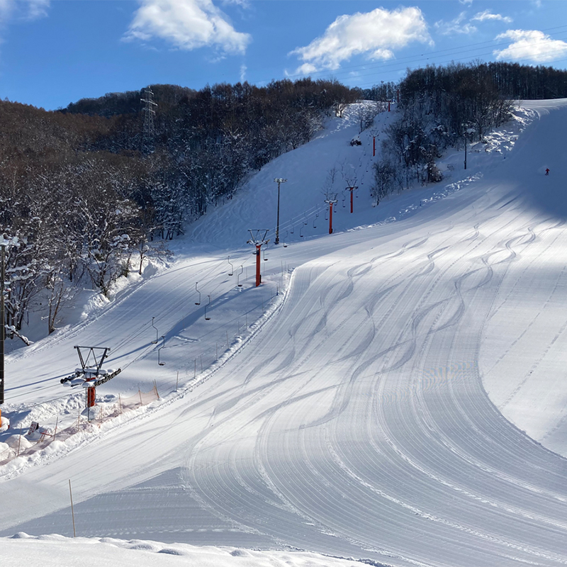 北海道仁木町 寄附のみの応援受付 5,000円コース（返礼品なし 寄附のみ 5000円）