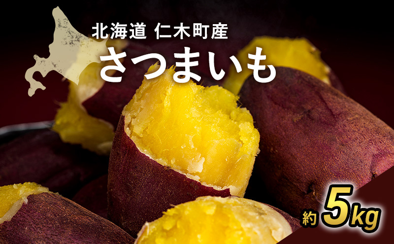 先行受付 北海道 仁木町産  さつまいも 5kg S～Lサイズ サイズバラバラ 野菜 やさい サツマイモ イモ 仁木町 [嶋田茂農園匠]