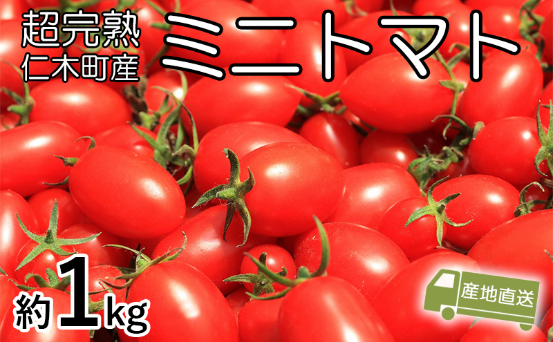 [先行受付] 超完熟ミニトマト【アイコ】1kg 北海道 仁木町 トマト ミニトマト アイコ 野菜 やさい [アイコファーム ]