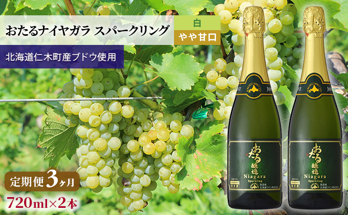 3ヵ月 定期便 白ワイン720ml×2本「おたるナイヤガラ スパークリング」（白/やや甘口） 北海道 仁木町 ブドウ ぶどう グレープ お酒 ワイン スパークリング 白 甘口 やや甘口 フルーツ [JA新おたる]