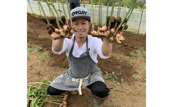 仁木産 グレープと梅を使ったジンジャービア 6本セット 北海道 キャンベル ウメ