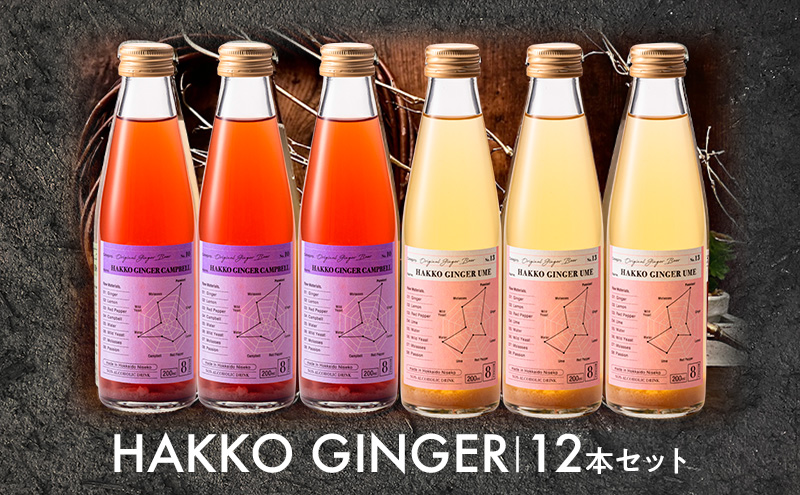 仁木産 グレープと梅を使ったジンジャービア 12本セット（各200ml×6本ずつ ） 北海道 キャンベル ウメ ジンジャー 飲料 ドリンク [株式会社デリシャスフロム北海道]