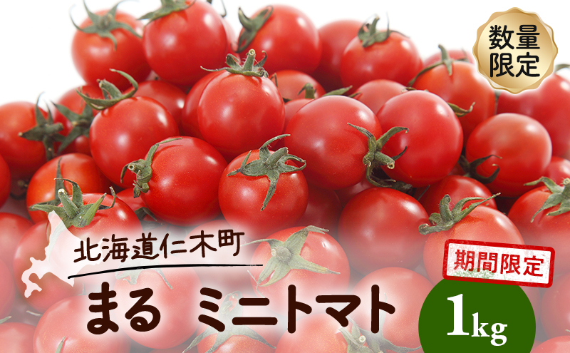 [先行受付] 北海道 仁木町 期間限定 数量限定 まる ミニトマト 1kg トマト 野菜 やさい [株式会社リッチランズ]