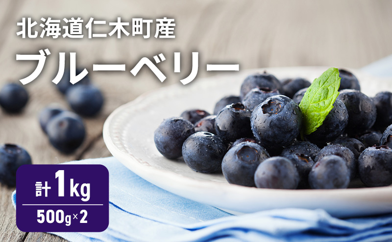 [先行受付] 北海道 仁木町産 ブルーベリー 1kg （500g×2） 果実 果物 くだもの フルーツ 甘み 酸味 [林果樹園]