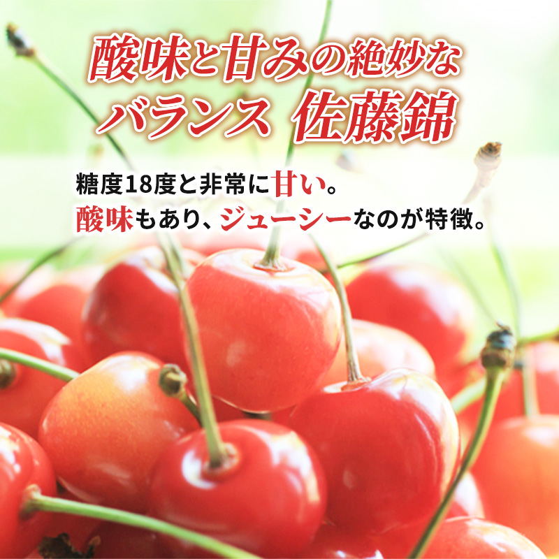 北海道 仁木町産 厳選品 サクランボ 佐藤錦  300g Lサイズ以上  松山商店