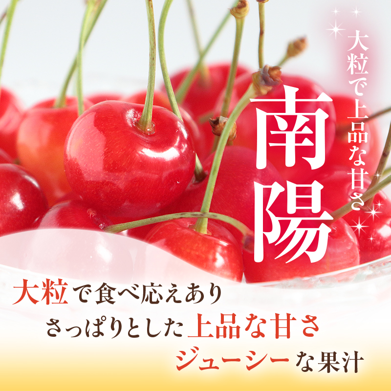 [先行受付] 農園厳選 さくらんぼ 南陽 2Lサイズ 以上300g（品質： ギフト 向け）