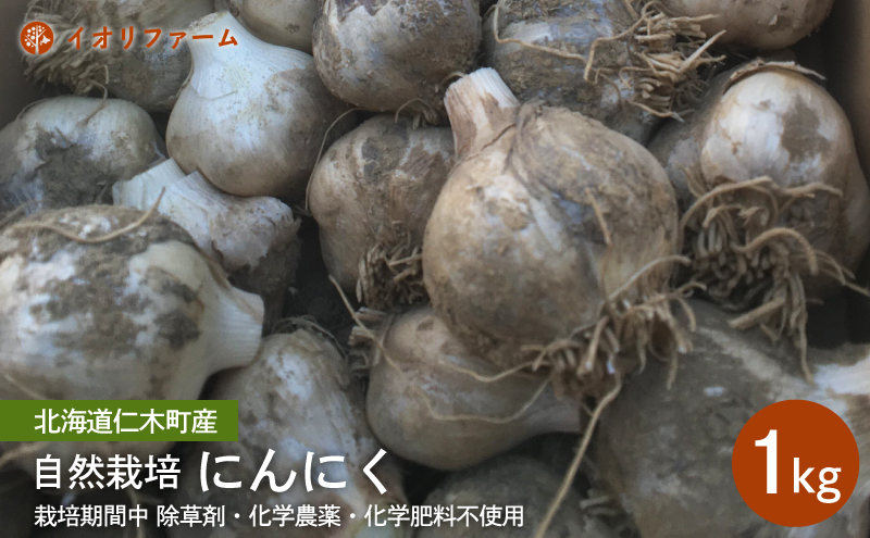 北海道仁木町産 にんにく1kg [iori farm] 栽培期間中 除草剤・化学農薬・化学肥料不使用【日付指定不可】