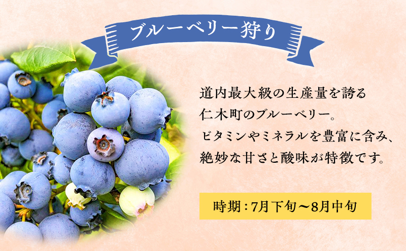 妹尾観光農園 フルーツ狩りチケット2000円 割引 チケット クーポン 利用券 フルーツ 旅行 体験 農園 北海道 仁木町 [フルーツショップ妹尾観光農園]