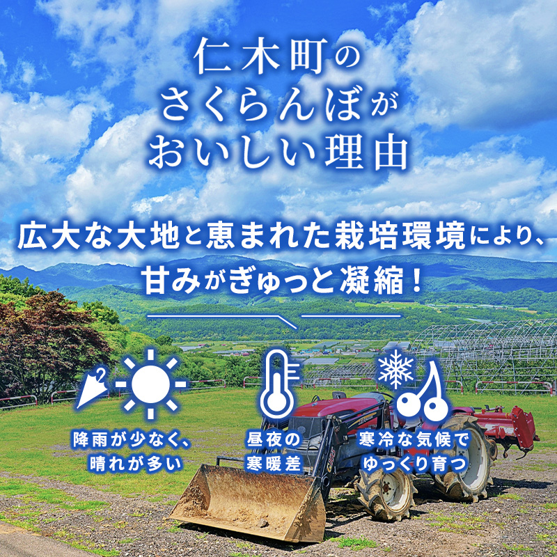 [先行受付] 北海道 仁木町産 厳選品 サクランボ 佐藤錦 400g Lサイズ以上 松山商店　さくらんぼ 旬 果物 くだもの 果実 フルーツ 桜桃 チェリー 産地直送