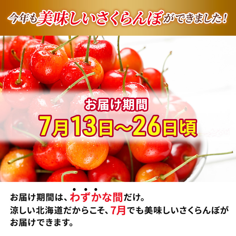 [先行受付] 北海道 仁木町産 厳選品 サクランボ 紅秀峰 400g Lサイズ以上 松山商店　さくらんぼ 旬 果物 くだもの 果実 フルーツ 桜桃 チェリー 産地直送