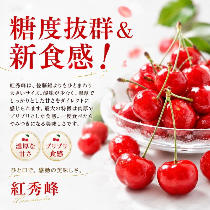 2027年発送 北海道 仁木町産 さくらんぼ 紅秀峰 360g (180g×2パック) Lサイズ以上 旬 桜桃 産地直送 サクランボ チェリー フルーツ 果物 果物類 仁木町 仁木 [松山商店]