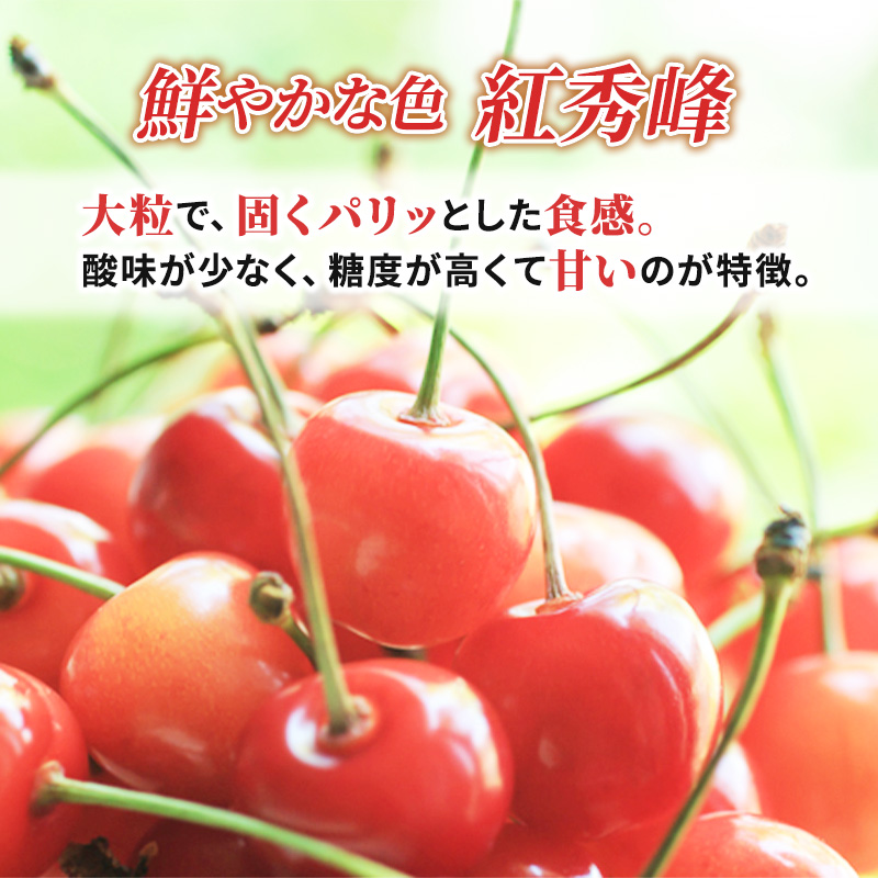 [先行受付] 北海道 仁木町産 厳選品 サクランボ 紅秀峰 400g Lサイズ以上 松山商店　さくらんぼ 旬 果物 くだもの 果実 フルーツ 桜桃 チェリー 産地直送