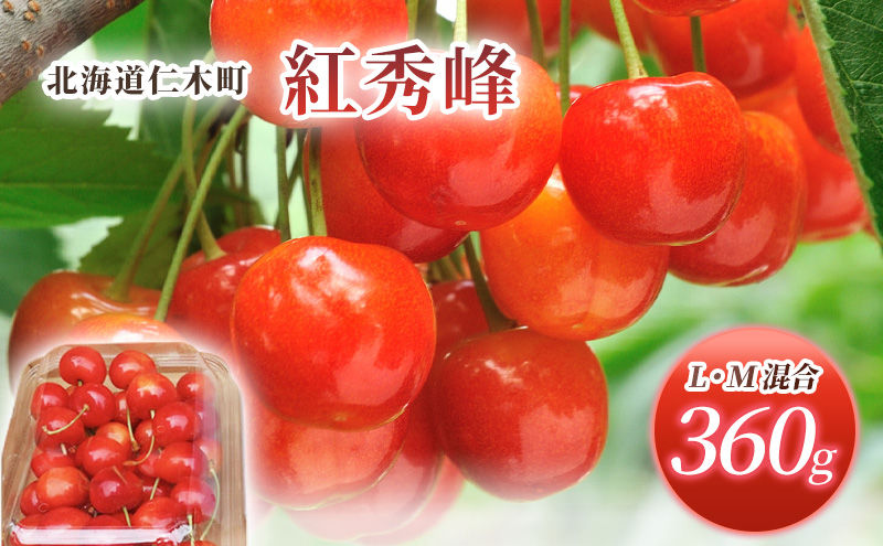 先行受付 北海道 仁木町産 さくらんぼ 紅秀峰 360g (180g×2パック) L-Mサイズ 混合　旬 桜桃 産地直送 サクランボ チェリー フルーツ 果物 果物類  仁木町 仁木 [松山商店]