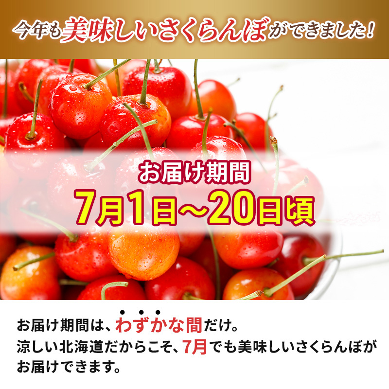 [先行受付] 北海道 仁木町産 サクランボ 佐藤錦 400g L-Mサイズ 松山商店　L・M混合 200g×2パック さくらんぼ 旬 果物 くだもの 果実 フルーツ 桜桃 チェリー 産地直送