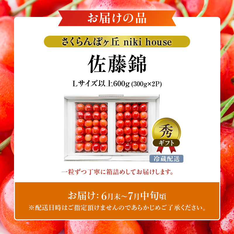 [先行受付] さくらんぼ  佐藤錦 さくらんぼ Lサイズ以上 600g（300g×2パック）化粧箱入 サクランボ チェリー フルーツ 果物 果物類 贈答品 ギフト 北海道 仁木町 仁木 [小林信幸]