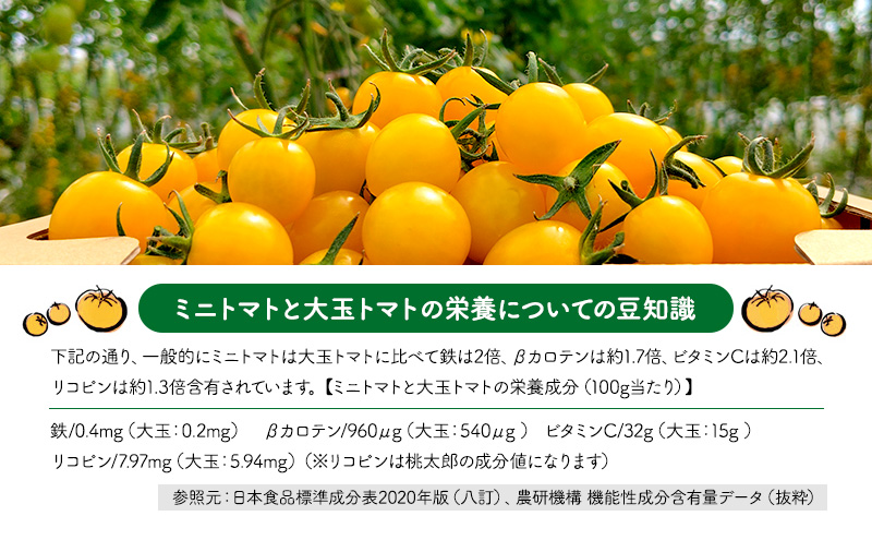 北海道 仁木町産 高糖度 ミニトマトジュース 1L×2本 [エコスイートレモン(新品種)] 無塩・無糖・保存料無添加 栽培期間中農薬・化学肥料・除草剤不使用【2025年産】 [Farm Watanabe]