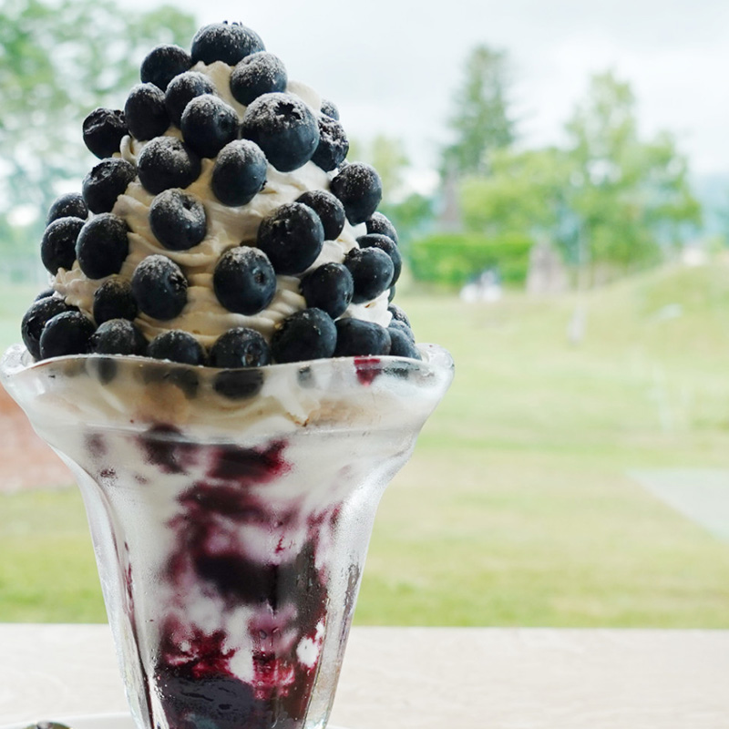 [先行受付] 北海道 仁木町産 有機栽培ブルーベリー700g サイズ混合 果物 くだもの フルーツ ブルーベリー[しろうさファーム]