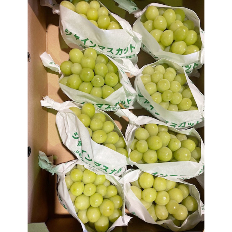 [先行受付] 北海道 仁木町産 シャインマスカット 7～10房 5kg 果物 ぶどう フルーツ 果物類 ブドウ マスカット [JA新おたる]