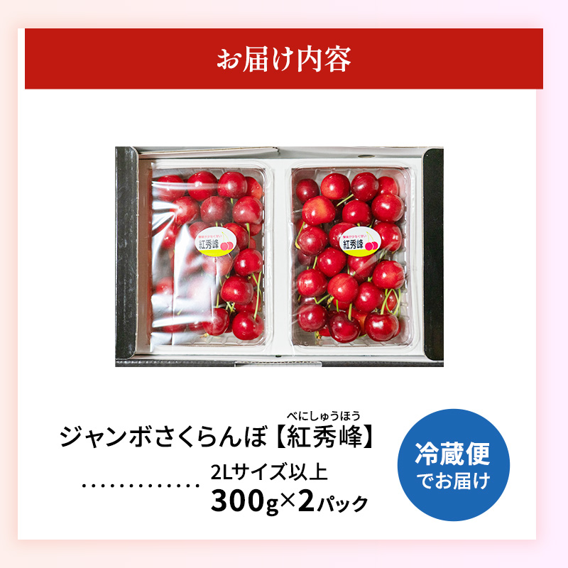 先行受付 北海道 仁木町産 ジャンボサイズ さくらんぼ 【 紅秀峰 】2Lサイズ以上 300g×2パック 計600g 　サクランボ チェリー フルーツ 果物 果物類  仁木町 仁木 [嶋田茂農園匠]
