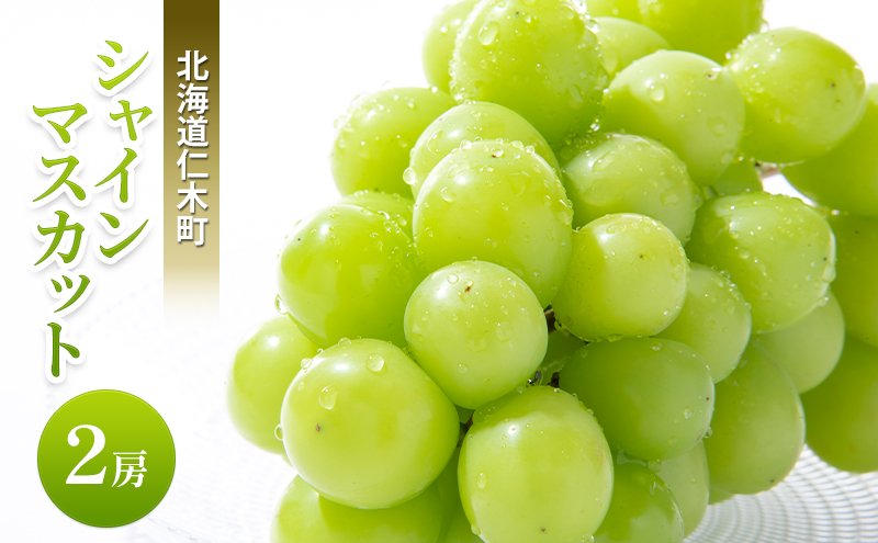 [先行受付] 北海道 仁木町  シャインマスカット 2房 ブドウ 葡萄 マスカット 果物 くだもの フルーツ [嶋田茂農園匠]