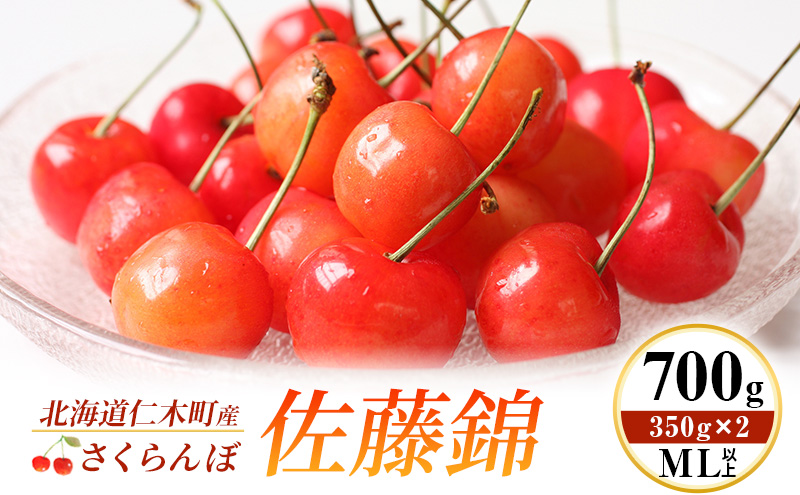 先行受付 北海道 仁木町産 さくらんぼ 佐藤錦 700g (350g×2) ML以上  旬の果物 サクランボ チェリー フルーツ 果物 果物類 仁木町 仁木 [伊賀農園]