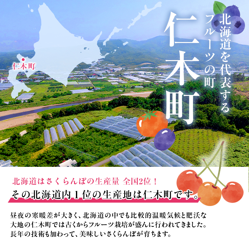 先行受付 数量限定 北海道 仁木町産  さくらんぼ 水門 600g M～2Lサイズ  朝採り  サクランボ チェリー フルーツ 果物 果物類  仁木町 仁木 [鶴田農園]