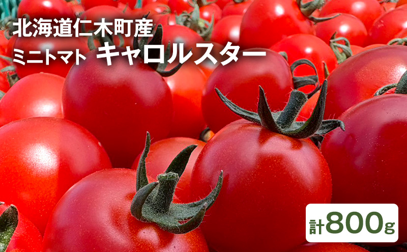 [先行受付] 北海道 仁木町産 ミニトマト キャロルスター 800g  （32粒～50粒）トマト 野菜  国産 プチトマト 甘み 使いやすい サラダ お弁当 家庭用 子供に人気  リコピン [REDA FARM]