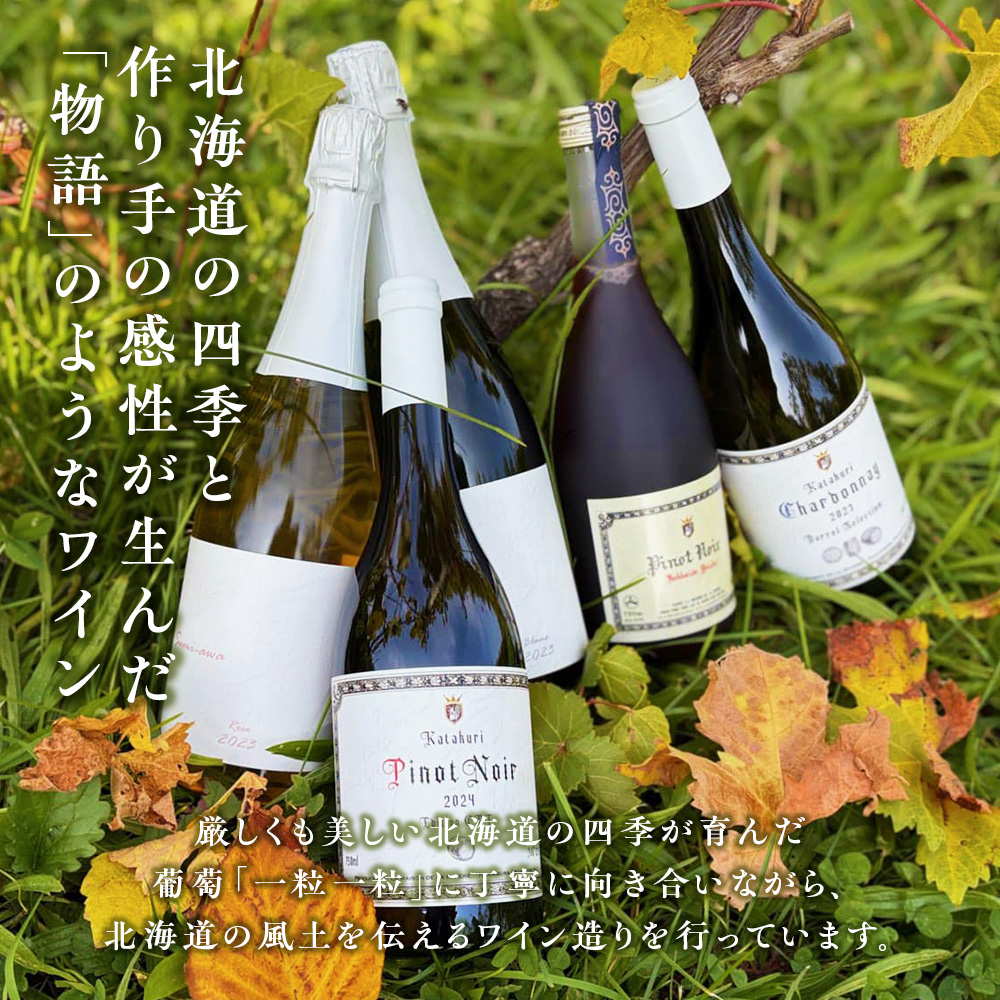 sumiawa ブラン ヴィンテージ スパークリングワイン2023 ラ・メゾン・ド・ラ・リヴィエー 辛口 スパークリング白 日本ワイン お酒 酒 洋酒 果実酒 アルコール 北海道 仁木町 [ 株式会社Souplesse ]