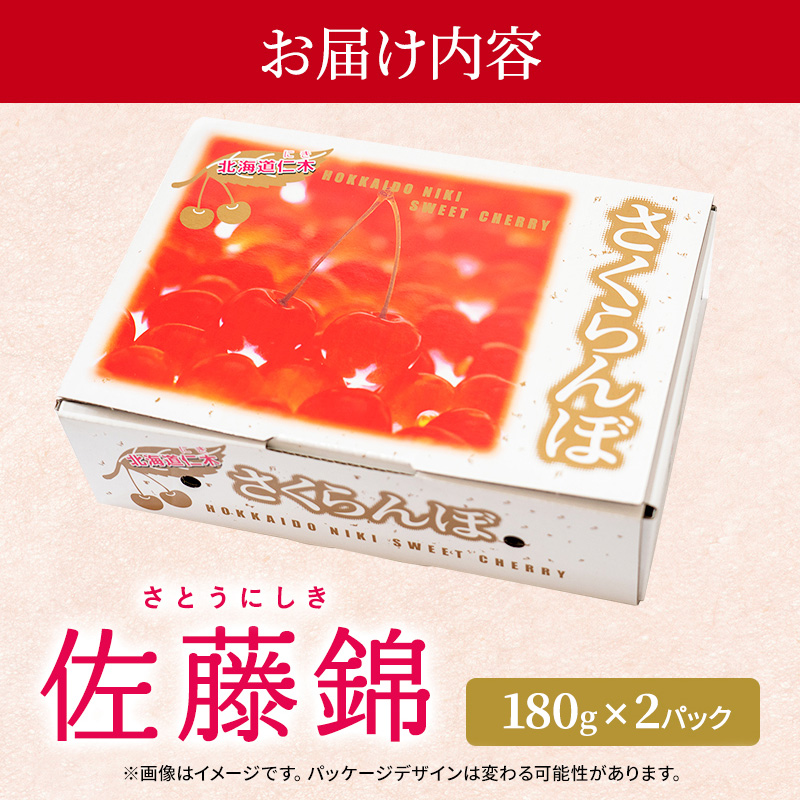 先行受付 北海道 仁木町産 さくらんぼ 佐藤錦 180g×2P Lサイズ   サクランボ チェリー フルーツ 果物 果物類 仁木町 仁木 [林果樹園]