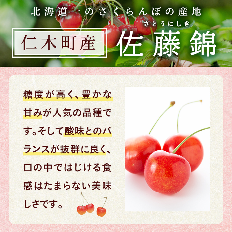 先行受付 北海道 仁木町産 さくらんぼ 佐藤錦 180g×2P Lサイズ   サクランボ チェリー フルーツ 果物 果物類 仁木町 仁木 [林果樹園]