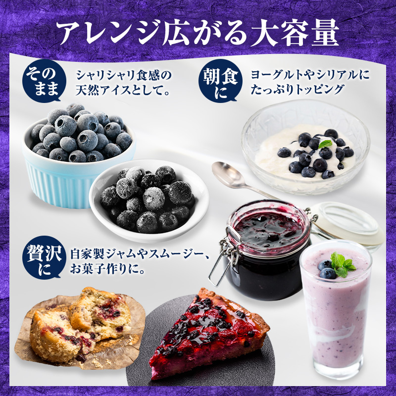 先行予約【朝採り】当日冷凍「北海道ニキブルーベリー」1kg（500g×2）サイズ混載 果物 くだもの 冷凍 フルーツ ブルーベリー 北海道 仁木［ぜにたに農園］