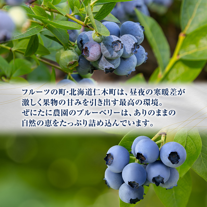 先行予約【朝採り】当日冷凍「北海道ニキブルーベリー」1.5kg（500g×3）サイズ混載 果物 くだもの 冷凍 フルーツ ブルーベリー 北海道 仁木［ぜにたに農園］