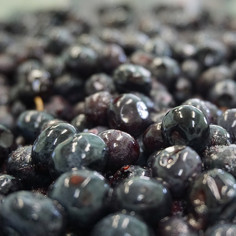 北海道 仁木町産 冷凍 ブルーベリー 250g×4袋 [ 北海道産 国産 ベリー フルーツ 果樹 くだもの 果物 冷凍果実 ]