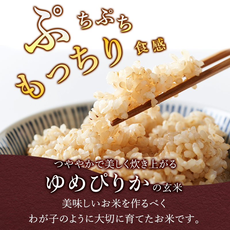 3ヵ月 定期便 玄米【新米予約/令和8年産】北海道産 ゆめぴりか 30kg (5kg×6袋) 仁木町 銀山米研究会【機内食に採用】ライス ブランド米 おにぎり お弁当 産地直送 主食 ご飯[株式会社 松原米穀]