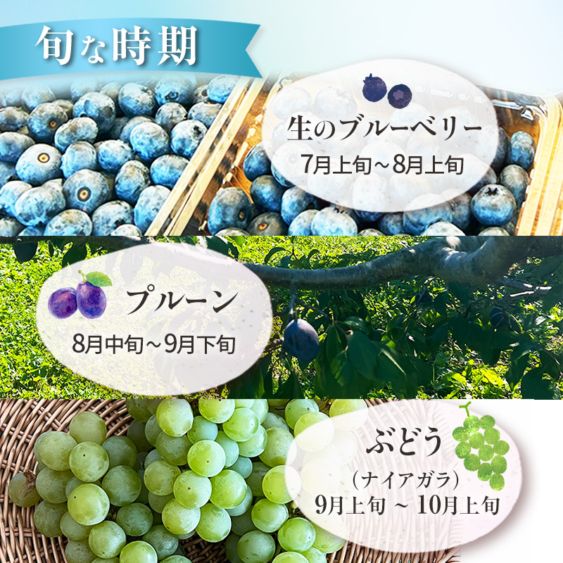 先行受付/7月下旬発送 ［ 旬のフルーツ＆野菜詰め合わせ 3種以上 ］【 ぶどう プルーン ブルーベリー パプリカ きゅうり なす ピーマン ミニトマト 野菜 果物 フルーツ 新鮮 北海道産 仁木町産 北海道野菜 】[株式会社NATICA]