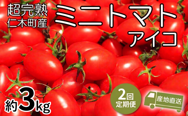 8・9月 2回発送[先行受付] 超完熟ミニトマト【アイコ】3kg 栽培期間中 農薬・除草剤不使用 サイズ混載 トマト ミニトマト アイコ 野菜 定期便 北海道 仁木町 [アイコファーム]