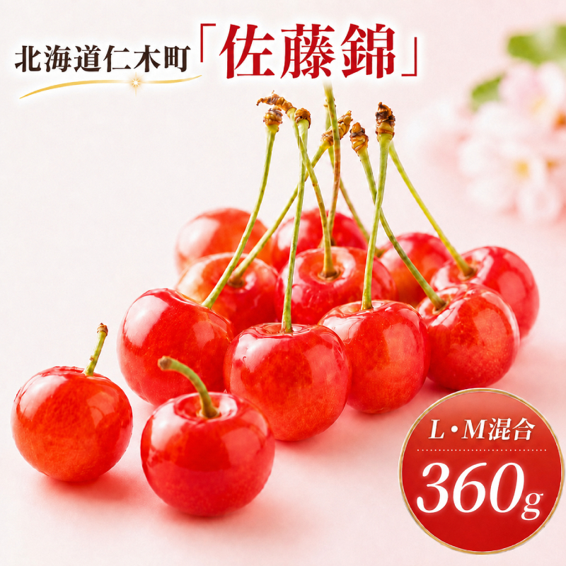 2027年発送 北海道 仁木町産 さくらんぼ 佐藤錦 360g (180g×2パック) L-Mサイズ 混合  旬 桜桃 産地直送 サクランボ チェリー フルーツ 果物 果物類 仁木町 仁木 [松山商店]