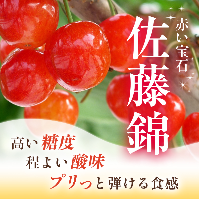 [先行受付] さくらんぼ  佐藤錦 さくらんぼ Lサイズ以上 600g（300g×2パック）化粧箱入 サクランボ チェリー フルーツ 果物 果物類 贈答品 ギフト 北海道 仁木町 仁木 [小林信幸]