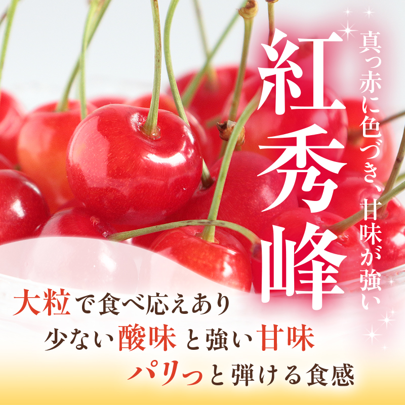  [先行受付] さくらんぼ 紅秀峰 2Lサイズ以上 600g（300g×2パック） 化粧箱入 サクランボ チェリー フルーツ 果物 果物類 ギフト 贈答品 北海道 仁木町 仁木 [小林信幸]