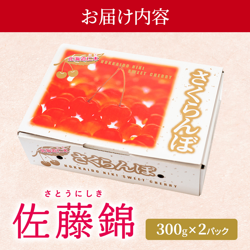 [先行受付] さくらんぼ 佐藤錦 300g×2P Lサイズ 北海道 仁木町［カムナビファーム］【 サクランボ 果物 フルーツ チェリー 】