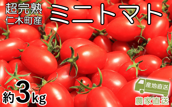 [先行受付] 超完熟ミニトマト【アイコ】3kg 北海道 仁木町［アイコファーム］【 トマト ミニトマト アイコ 野菜 】