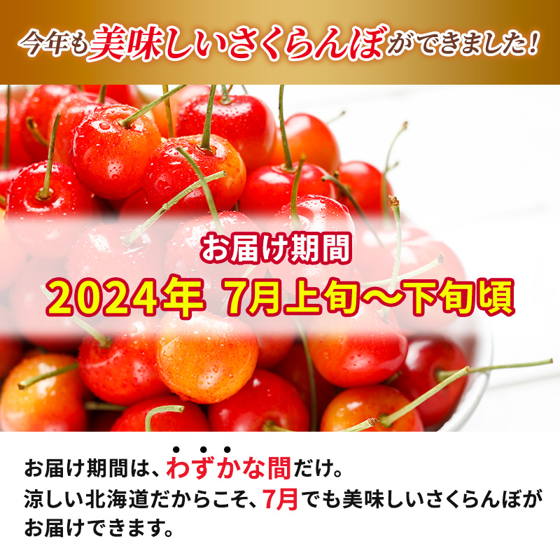 先行予約 北海道 仁木町産 さくらんぼ 約2kg 2Lサイズ 仁木ファーム 果実