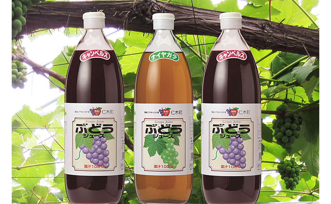 北海道仁木産ぶどうジュース飲み比べセット（キャンベルス、ナイヤガラ）：3本