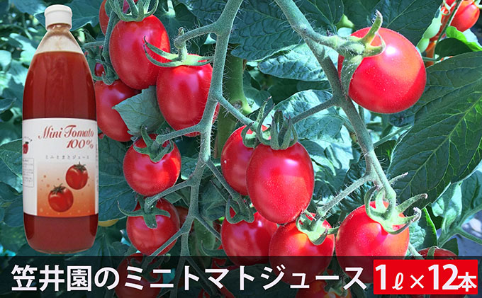 ミニトマト「アイコ」で作ったトマトジュース12本セット（ご自宅用）